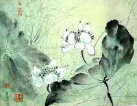 #26 White Lotus